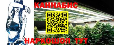 шишки Кинель